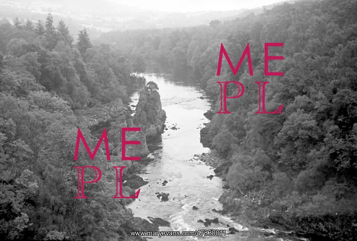 : Mountain river flowing through a wooded valley : Mountain river flowing through a wooded valley