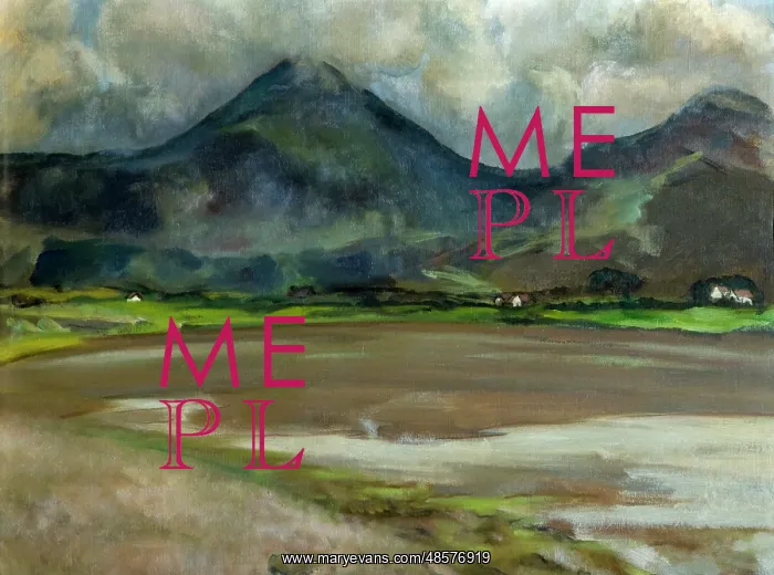 : Mountain Scene, Co. Down : Mountain Scene, Co. Down