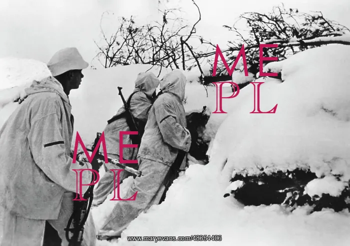 : Mountain troops at a position on the Eastern Front, 1942 : Mountain troops at a position on the Eastern Front, 1942