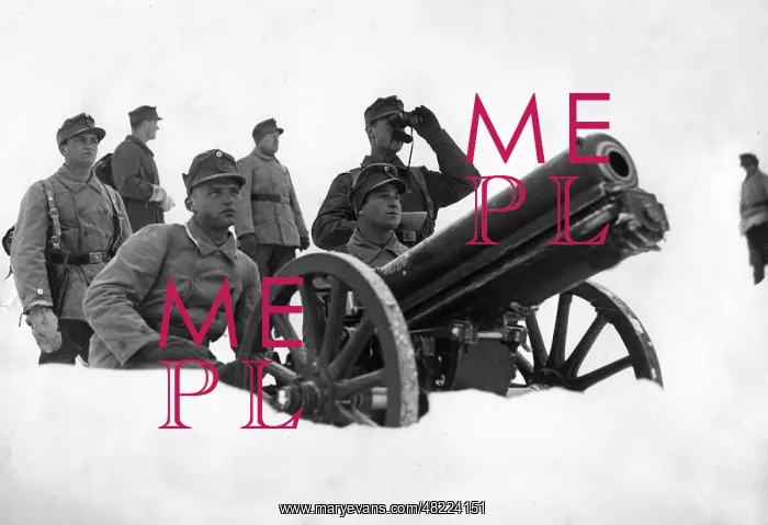 : Mountain troops of the Reichswehr with cannon : Mountain troops of the Reichswehr with cannon