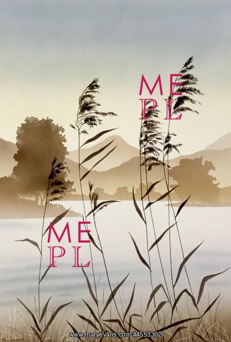: Mountain valley lake with reeds : Mountain valley lake with reeds