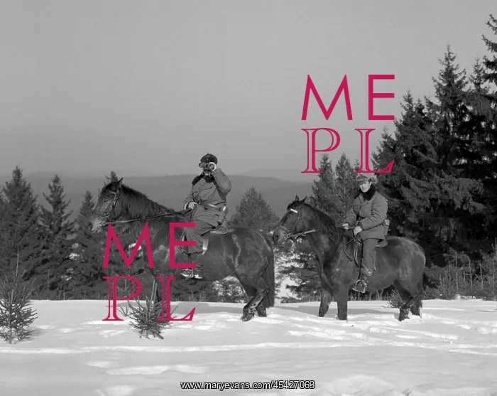 : Mounted border patrol : Mounted border patrol