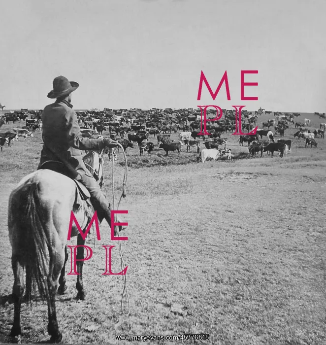 : Mounted cowboy holds lasso on the open range : Mounted cowboy holds lasso on the open range