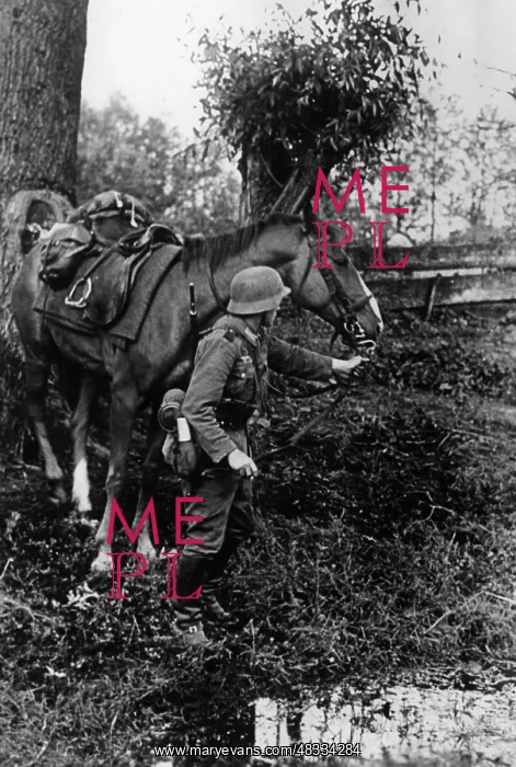 : Mounted division of the Wehrmacht on the Eastern Front, 1941 : Mounted division of the Wehrmacht on the Eastern Front, 1941