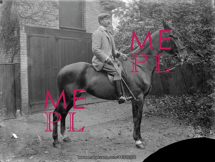 : Mounted horse rider : Mounted horse rider