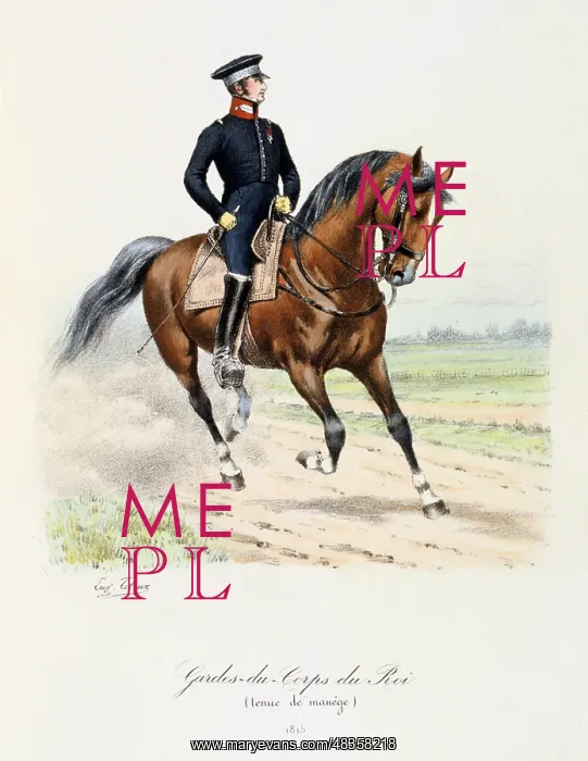 : Mounted member of the King's guard. 1815. From : Mounted member of the King's guard. 1815. From