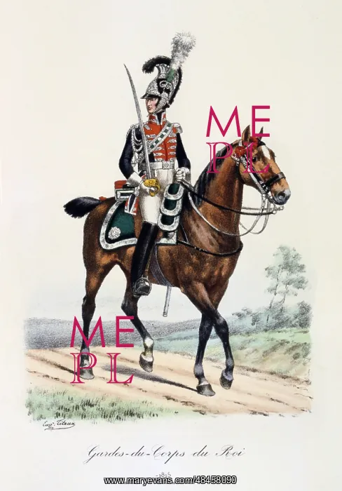 : Mounted member of the King's guard, 1815. From : Mounted member of the King's guard, 1815. From