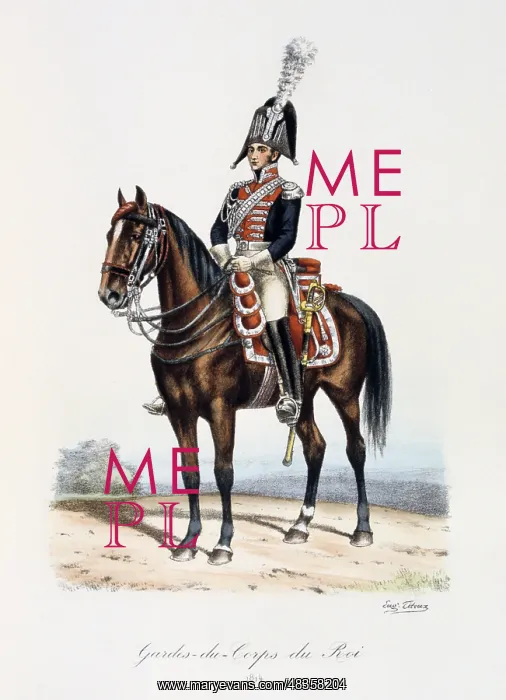 : Mounted member of the Royal guard, 1814. From : Mounted member of the Royal guard, 1814. From