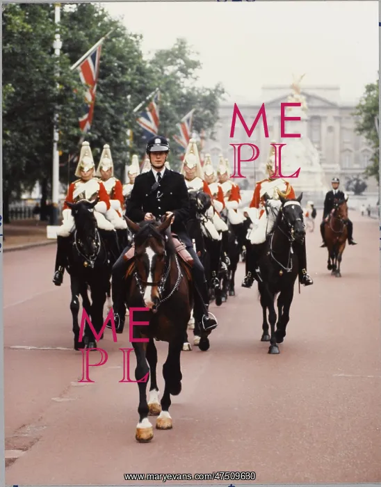 : MOUNTED POLICE OFFICER : MOUNTED POLICE OFFICER
