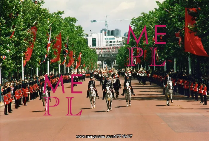 : Mounted Police Officer - Procession in The Mall : Mounted Police Officer - Procession in The Mall
