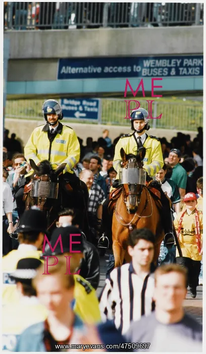 : MOUNTED POLICE OFFICERS : MOUNTED POLICE OFFICERS