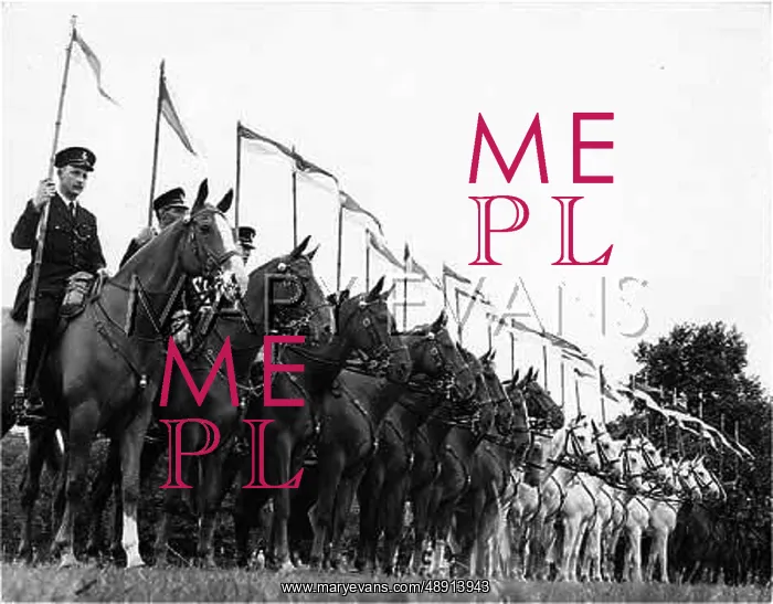 : MOUNTED POLICE PARADE : MOUNTED POLICE PARADE