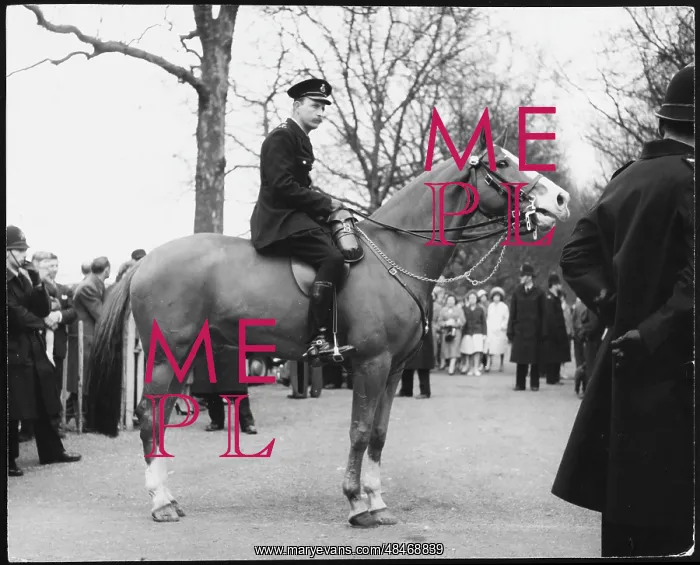 : MOUNTED POLICEMAN : MOUNTED POLICEMAN