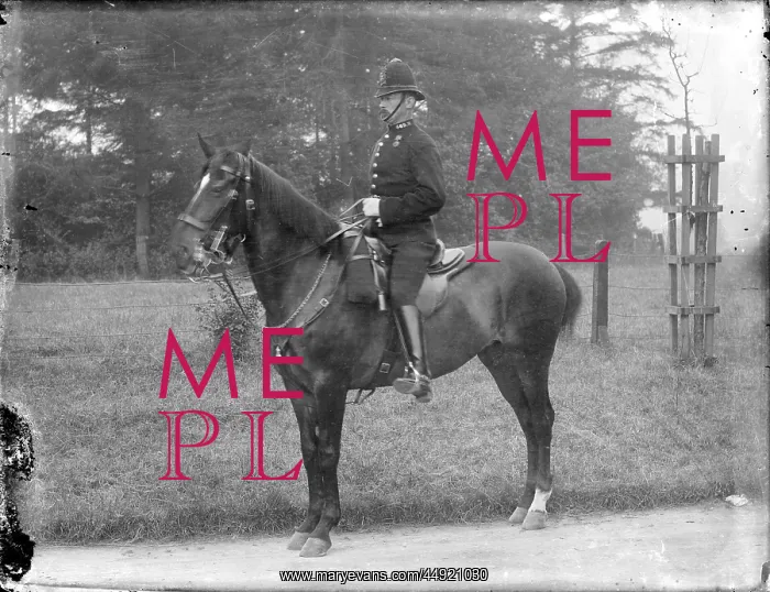 : Mounted Policeman, Sidcup : Mounted Policeman, Sidcup