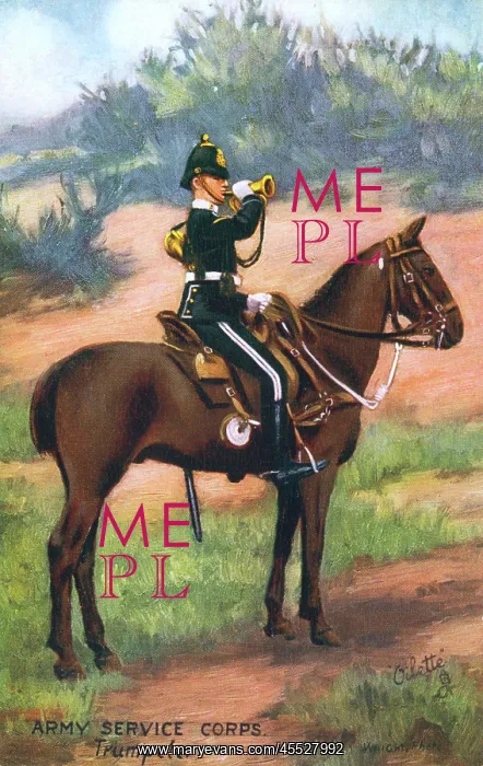 : Mounted Trumpeter of the Army Service Corps : Mounted Trumpeter of the Army Service Corps