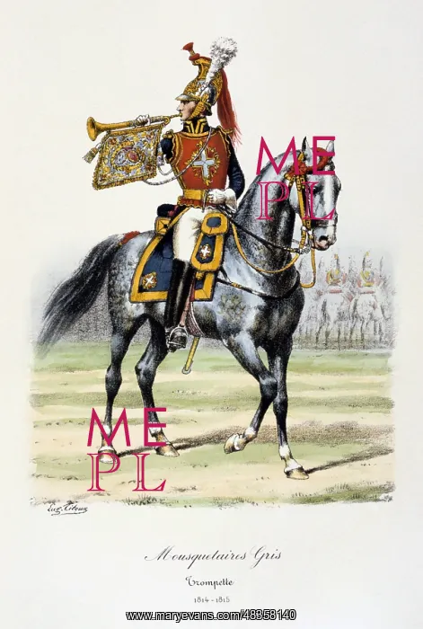 : Mounted Trumpeter of the Grey Musketeers, 1814-1815 : Mounted Trumpeter of the Grey Musketeers, 1814-1815