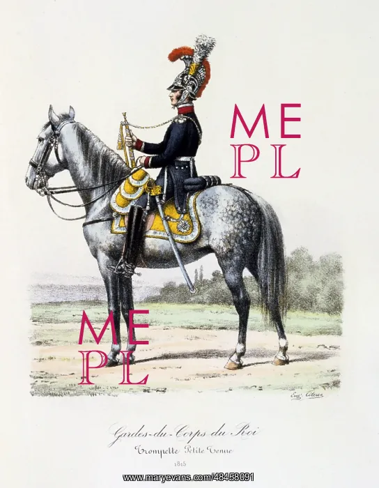 : Mounted trumpeter of the King's guard, 1815 : Mounted trumpeter of the King's guard, 1815