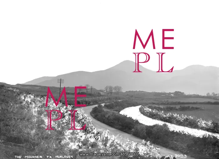 : The Mournes Fr. Murlough : The Mournes Fr. Murlough