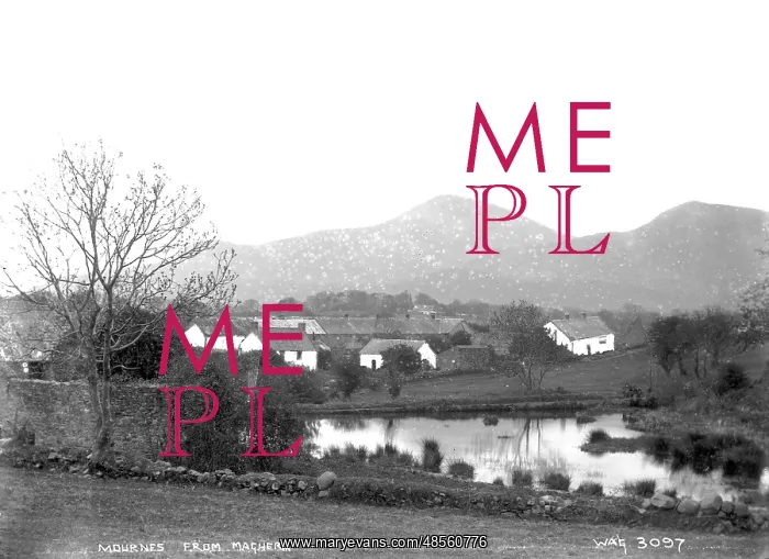  : Mournes from Maghera