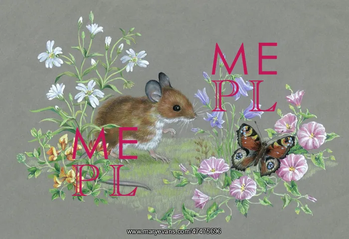 : Mouse and Butterfly with wild flowers : Mouse and Butterfly with wild flowers