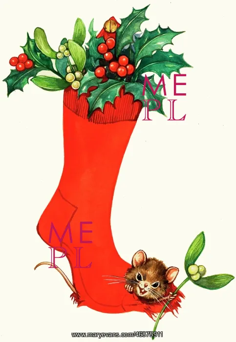  : Mouse in a Christmas sock