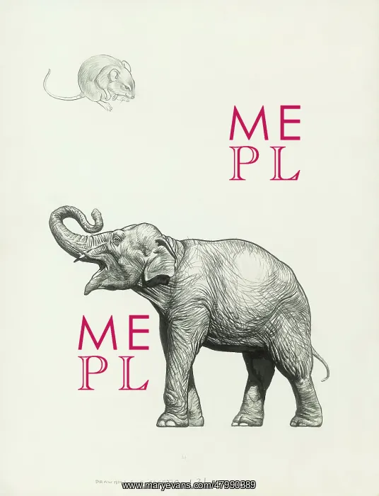  : Mouse & Elephant