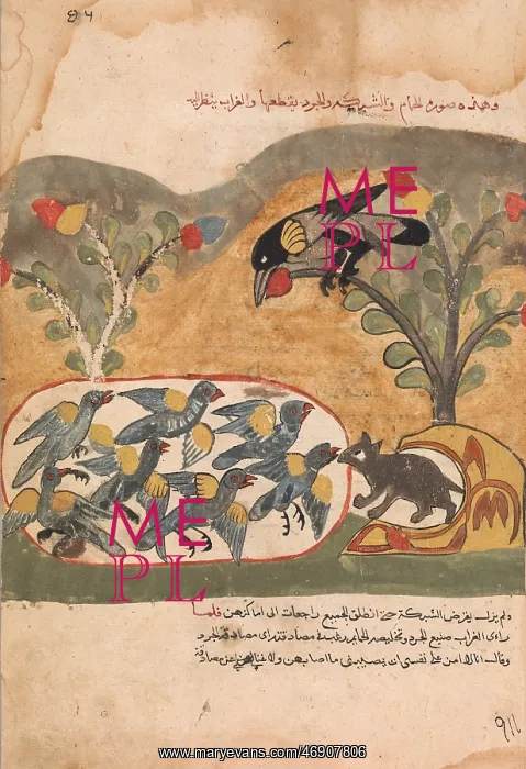 : The Mouse Gnaws the Net Imprisoning the Doves : The Mouse Gnaws the Net Imprisoning the Doves