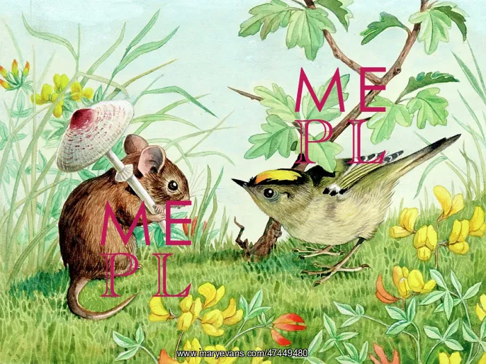  : Mouse and Goldcrest