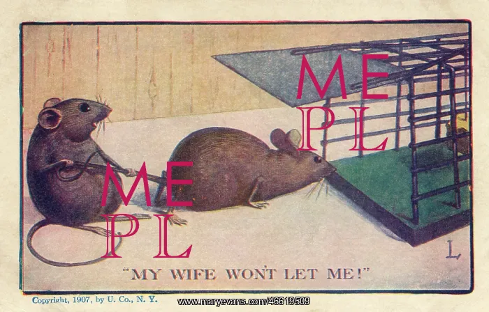 : Mouse held away from Mousetrap : Mouse held away from Mousetrap