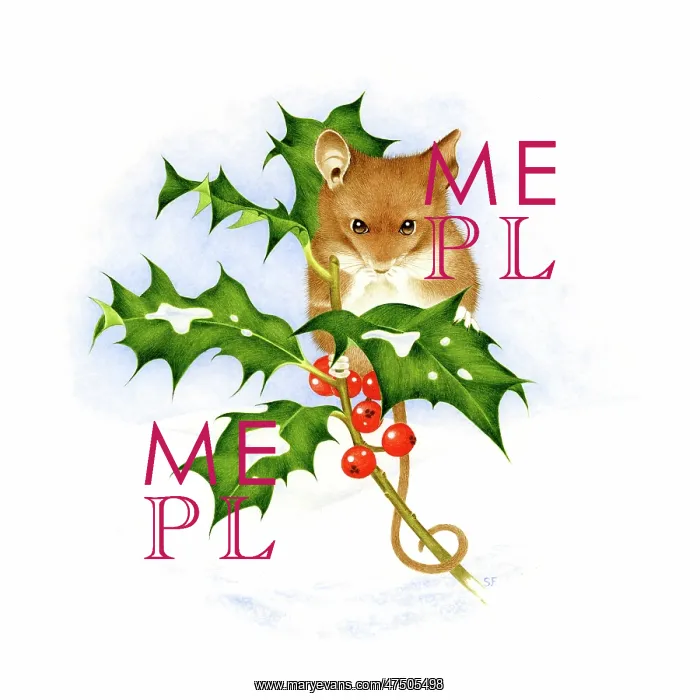  : Mouse with a holly bough in the snow