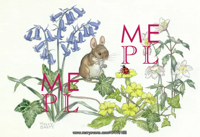 : Mouse on ivy looking at ladybird on primrose : Mouse on ivy looking at ladybird on primrose