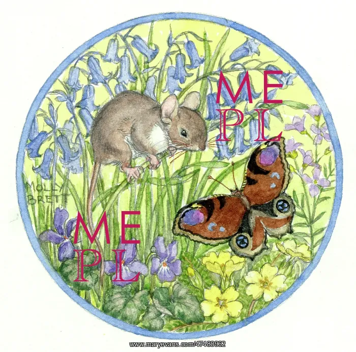 : Mouse and peacock butterfly, with bluebells and primroses : Mouse and peacock butterfly, with bluebells and primroses