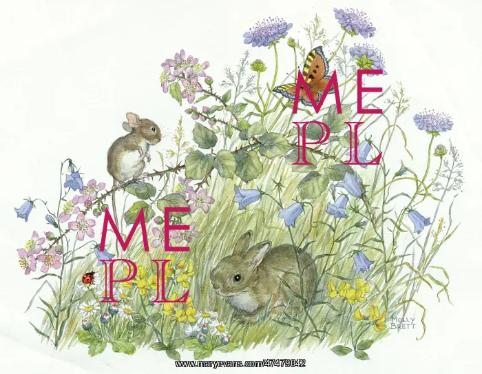 : Mouse, rabbit, butterfly and ladybird with daisies : Mouse, rabbit, butterfly and ladybird with daisies