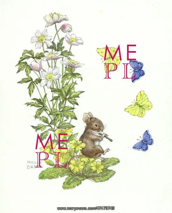 : Mouse sitting on primroses piping : Mouse sitting on primroses piping