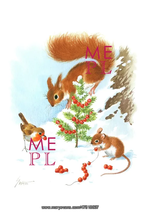 : Mouse, squirrel, robin decorating Christmas tree : Mouse, squirrel, robin decorating Christmas tree
