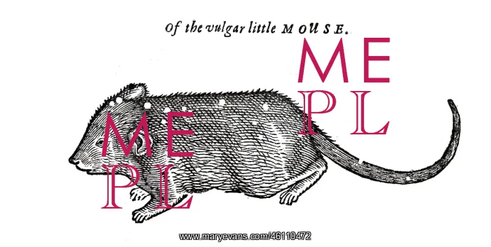 : Mouse from Topsell's The history of four-footed beasts and serpents : Mouse from Topsell's The history of four-footed beasts and serpents