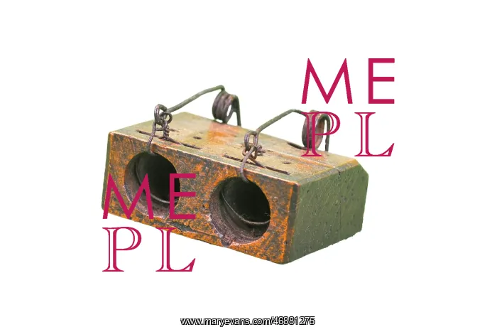  : Mouse Trap
