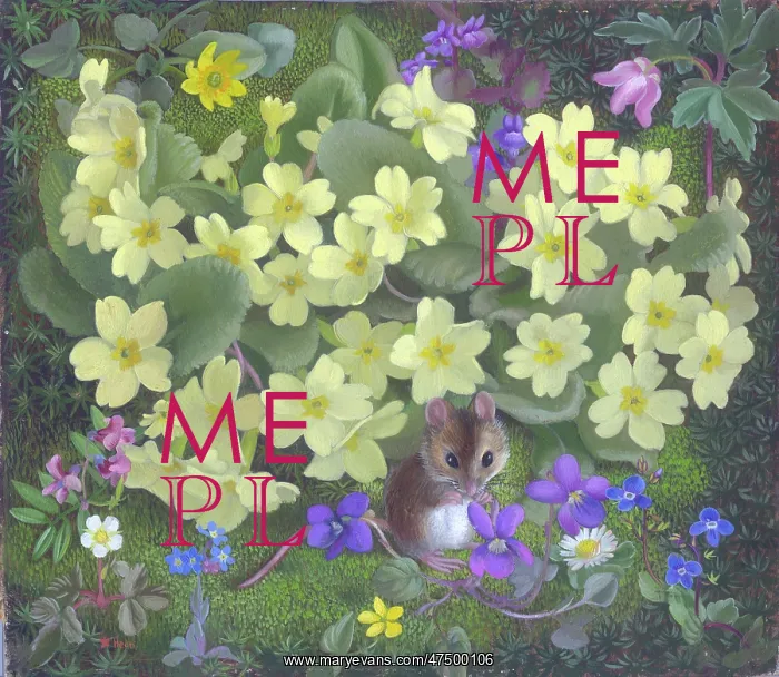 : Mouse among wild spring flowers : Mouse among wild spring flowers