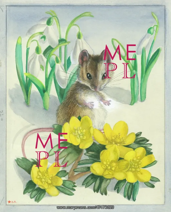  : Mouse with winter flowers in snow