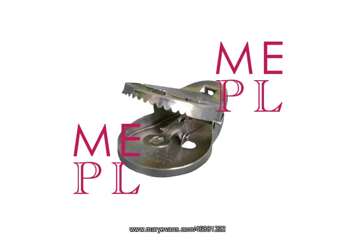  : Mousetrap