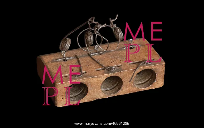  : Mousetrap