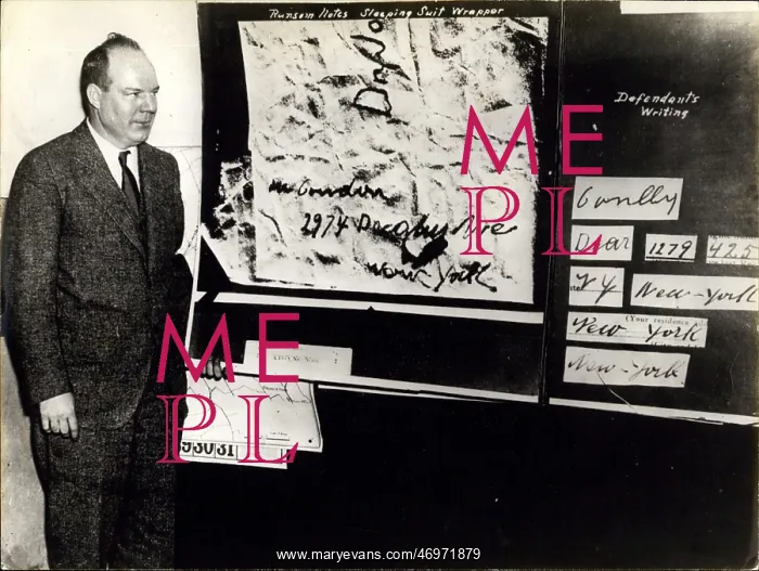 : Movements - Organizations : Movements - Organizations