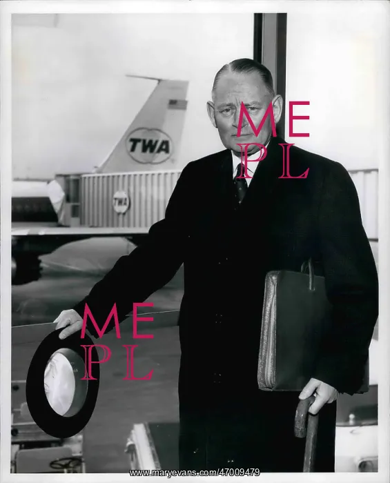 : Movements - Organizations : Movements - Organizations