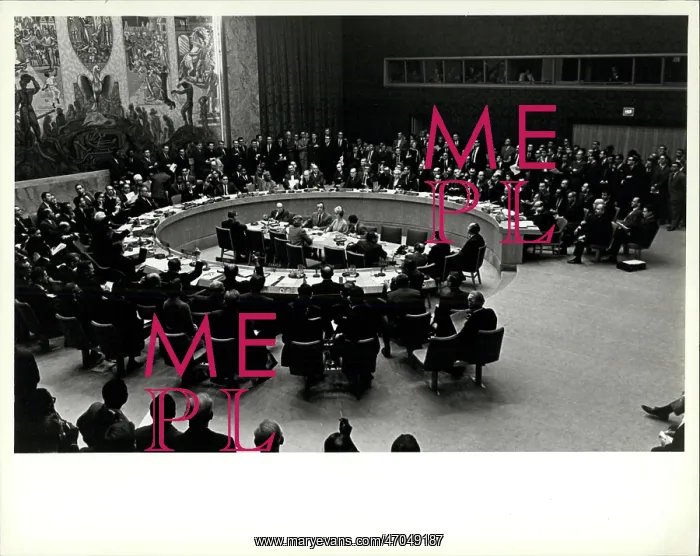 : Movements - Organizations : Movements - Organizations