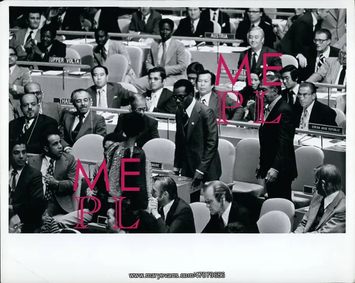 : Movements - Organizations : Movements - Organizations