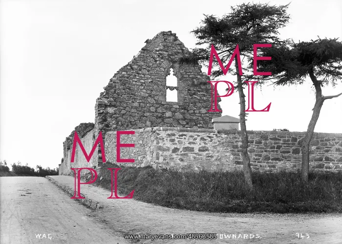 : Movilla Abbey, Newtownards : Movilla Abbey, Newtownards