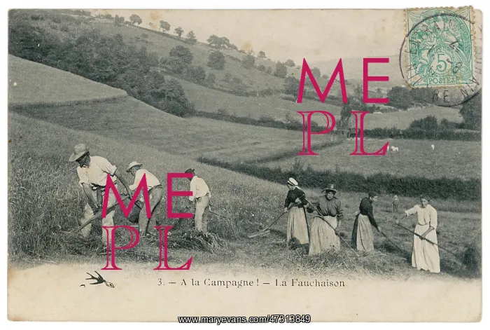  : MOWING HAY, 1907