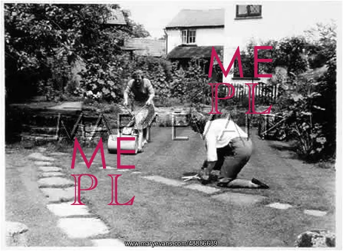 : MOWING THE LAWN : MOWING THE LAWN