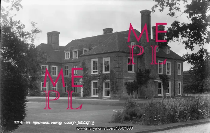 : Moyles Court : Moyles Court