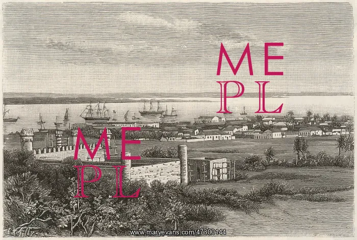 : MOZAMBIQUE / DELAGOA 1890 : MOZAMBIQUE / DELAGOA 1890